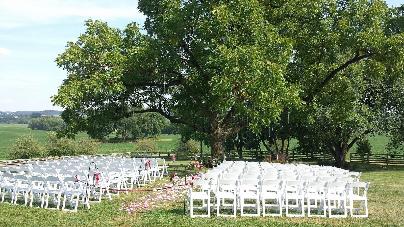 Olivia and Marcus’s wedding, photo 2 — the manor grounds